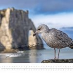 Home 06 kalender 2026 mai final etretat