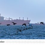 Home 10 kalender 2026 september final skagen