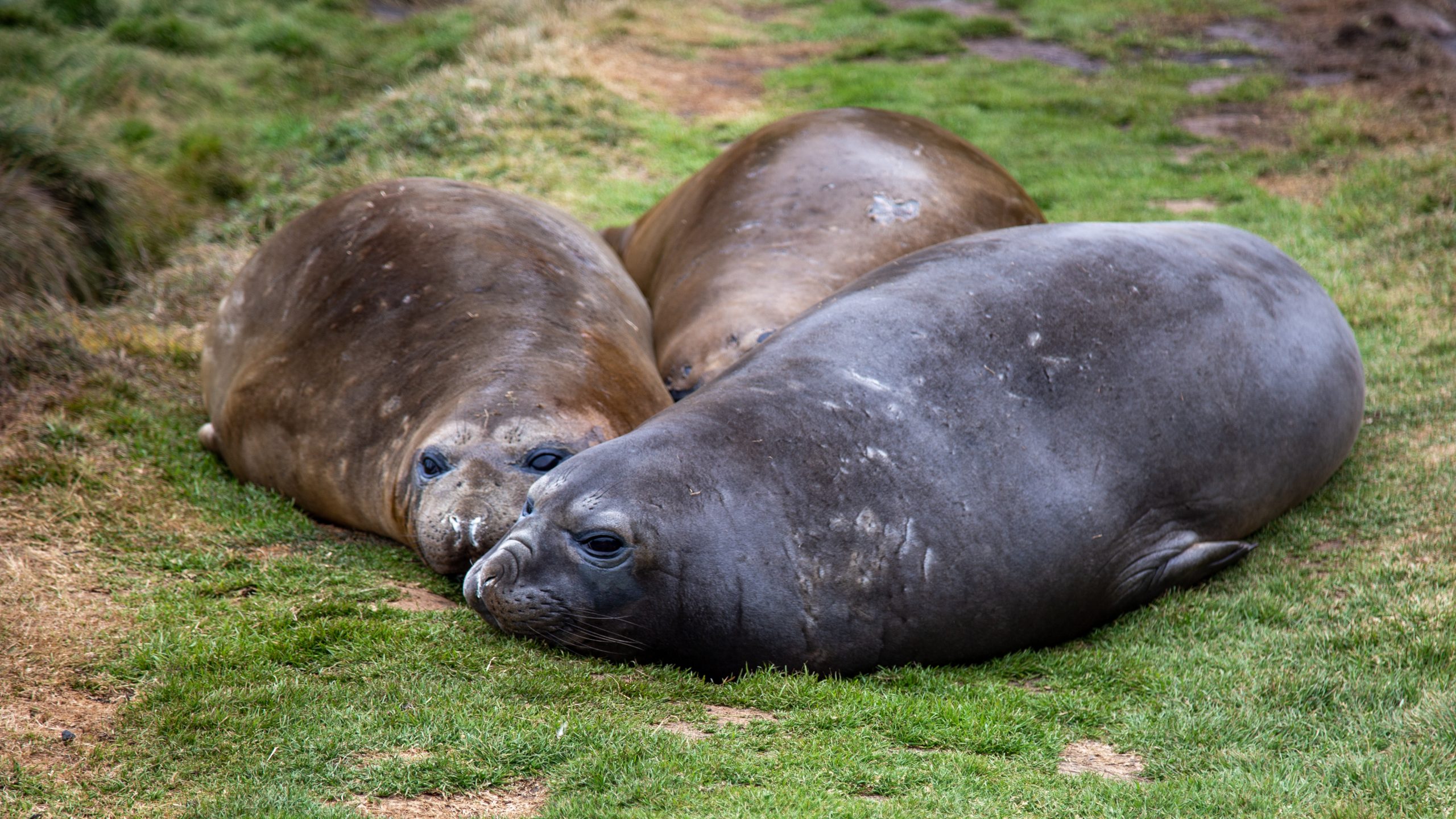 3000 Tage auf See - Der Vortag img 3588
