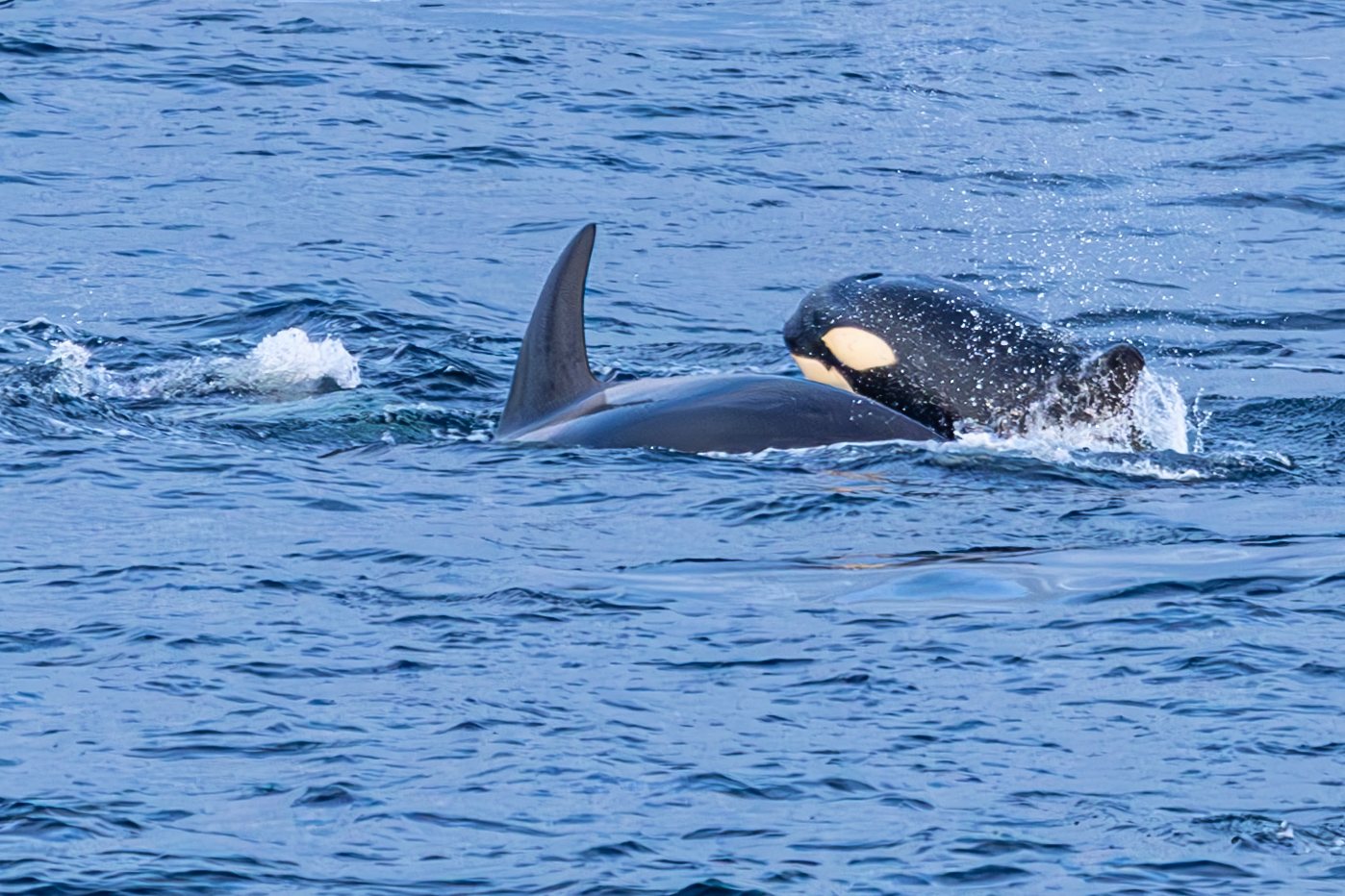 3000 Tage auf See - Der Vortag img 3893 verbessert rr