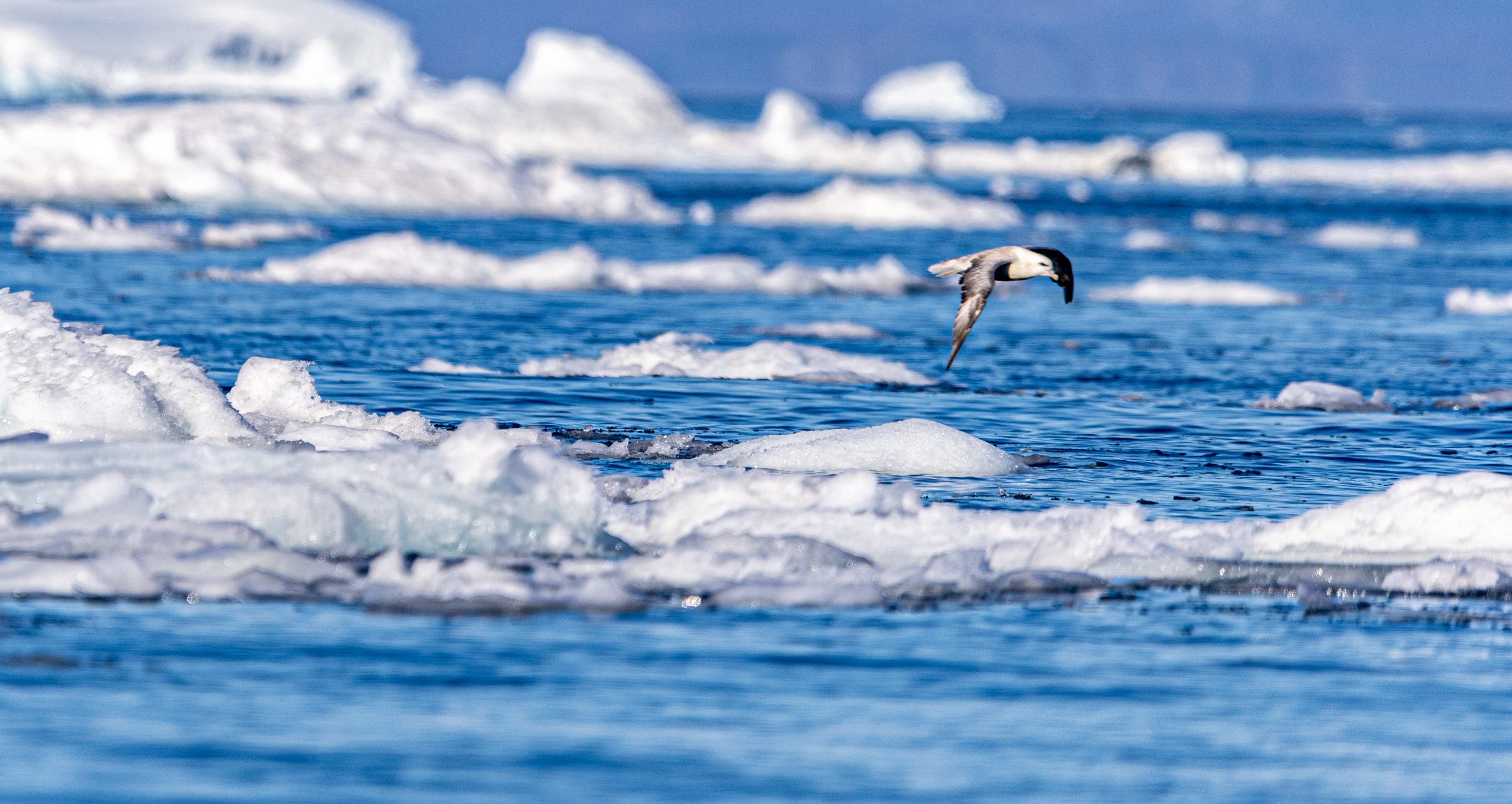 3000 Tage auf See - Der Vortag img 4469