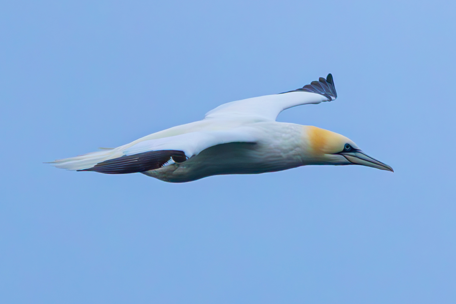 3000 Tage auf See - Der Vortag img 4559 verbessert rr