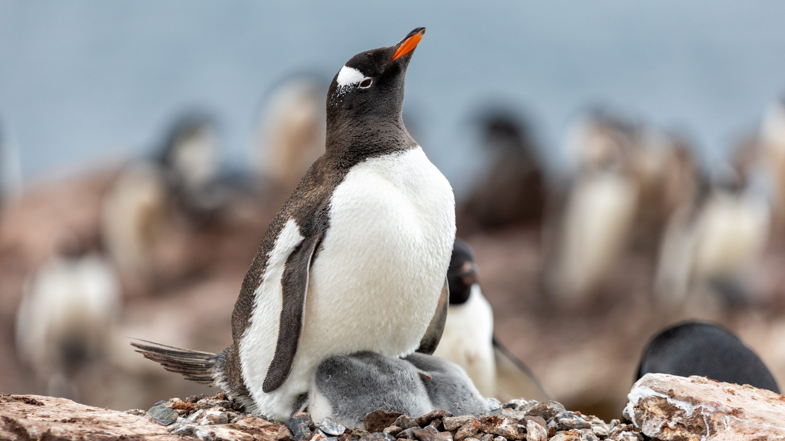 3000 Tage auf See - Der Vortag img 4657