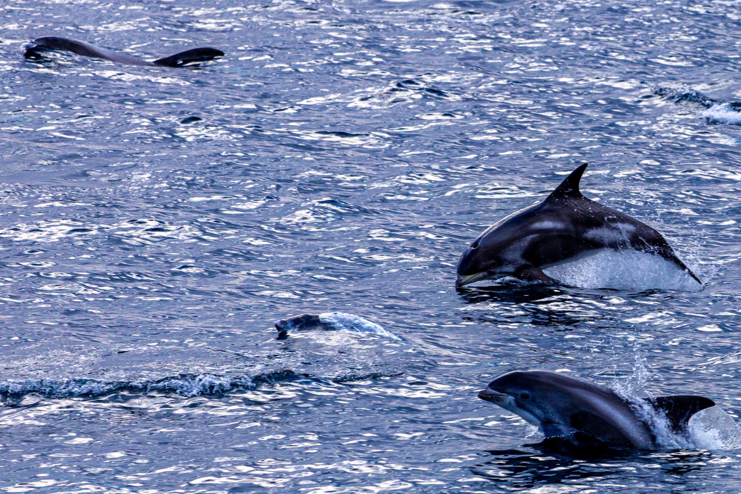 3000 Tage auf See - Der Vortag img 4927